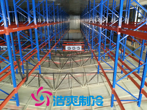 建造安裝5000㎡雞排低溫冷藏庫造價費用是多少？