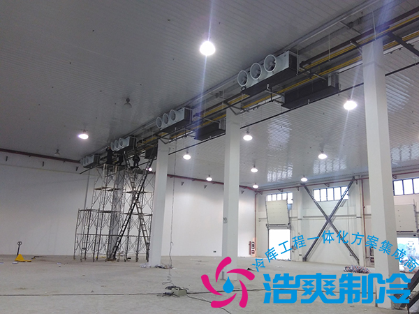 建造一個(gè)小型青果檳榔保鮮冷庫造價(jià)多少錢？可以存儲(chǔ)多長時(shí)間？