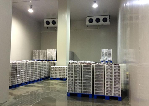 建造安裝1000㎡冷庫(kù)造價(jià)大概需要多少費(fèi)用？_浩爽制冷