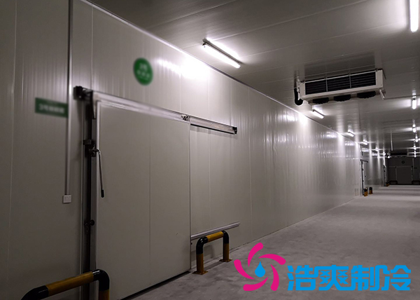 新鮮檳榔如何通過建造檳榔凍庫有效儲存？_浩爽制冷