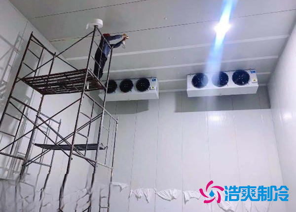 建造一個果蔬種植園氣調(diào)冷庫安裝造價大概投資多少錢？-浩爽制冷