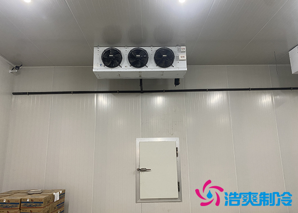 生鮮蔬菜市場冷庫應(yīng)該建多大？-浩爽制冷