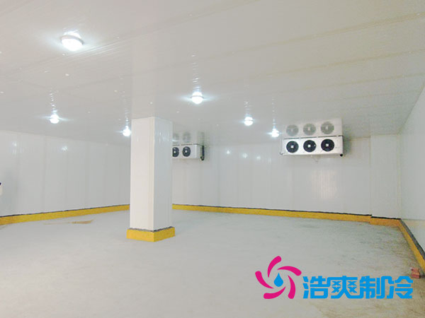 50噸果蔬氣調(diào)庫預(yù)算造價多少錢？-浩爽制冷