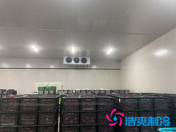 嘉定雞蛋冷庫安裝建造多少錢？-浩爽制冷