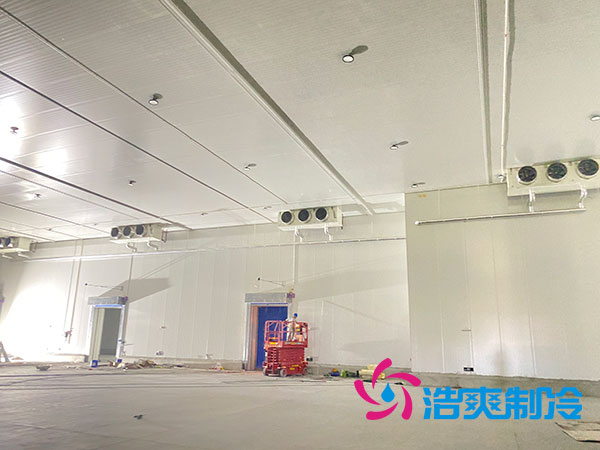 大型水果冷庫造價(jià)多少錢一平方？-浩爽制冷