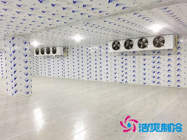 建造一個餐飲雙溫冷庫造價成本需要多少資金？