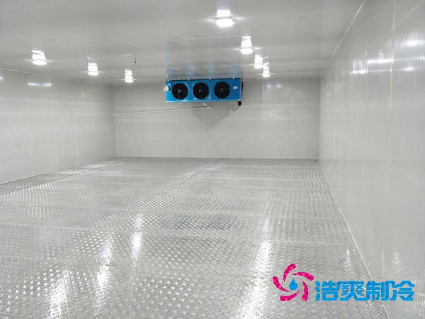建造一個餐飲雙溫冷庫造價成本需要多少資金？
