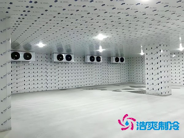 建一個(gè)生姜冷庫(kù)造價(jià)造價(jià)大概多少錢？-浩爽制冷