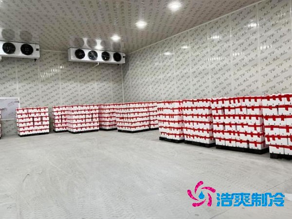 保鮮冷庫(kù)造價(jià)及冷凍冷庫(kù)造價(jià)估算表對(duì)比