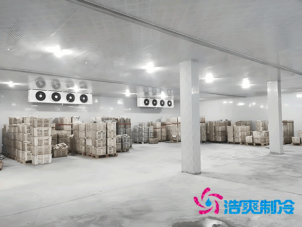 1000立方冷庫(kù)造價(jià)預(yù)算及耗電量解析
